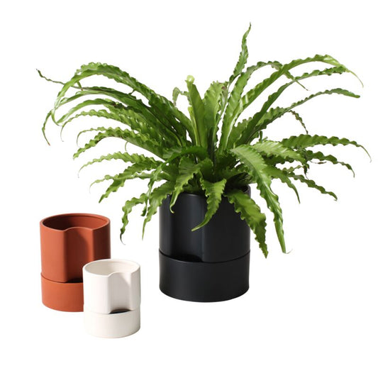 Jett Self-Watering Pot